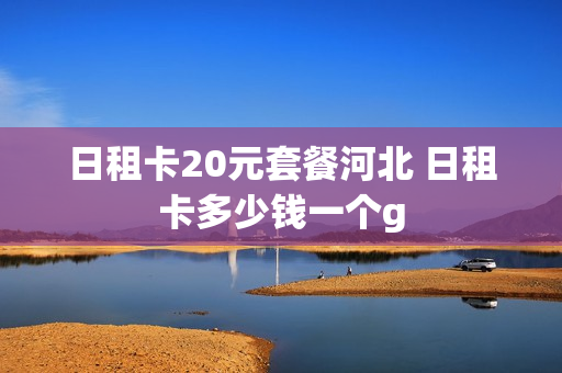 日租卡20元套餐河北 日租卡多少钱一个g