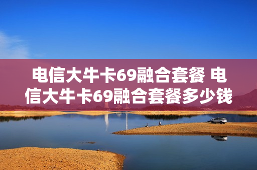 电信大牛卡69融合套餐 电信大牛卡69融合套餐多少钱
