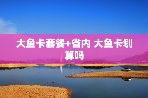 大鱼卡套餐+省内 大鱼卡划算吗