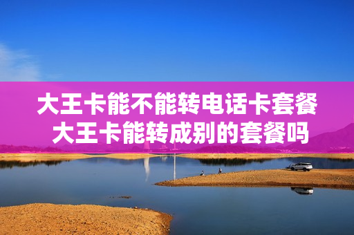 大王卡能不能转电话卡套餐 大王卡能转成别的套餐吗