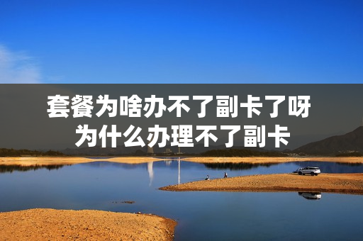 套餐为啥办不了副卡了呀 为什么办理不了副卡