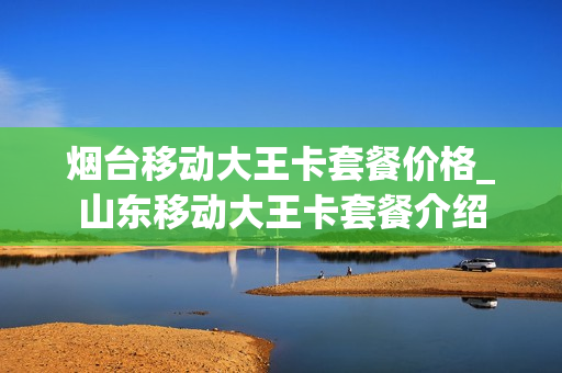 烟台移动大王卡套餐价格_山东移动大王卡套餐介绍