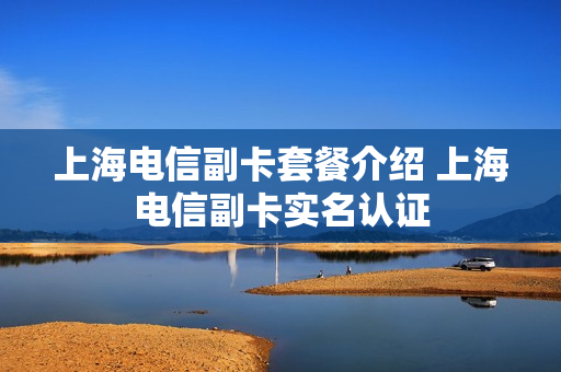 上海电信副卡套餐介绍 上海电信副卡实名认证