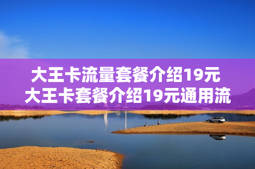 大王卡流量套餐介绍19元 大王卡套餐介绍19元通用流量