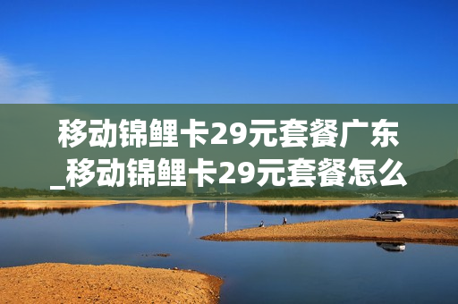 移动锦鲤卡29元套餐广东_移动锦鲤卡29元套餐怎么办理
