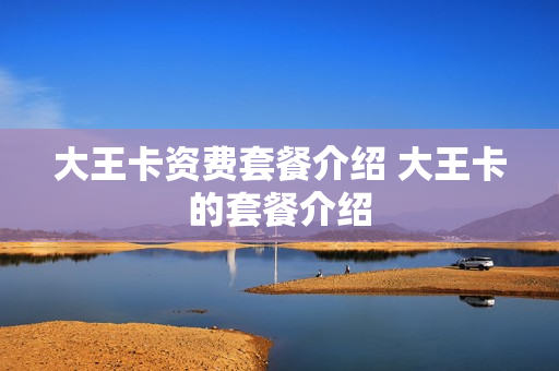 大王卡资费套餐介绍 大王卡的套餐介绍