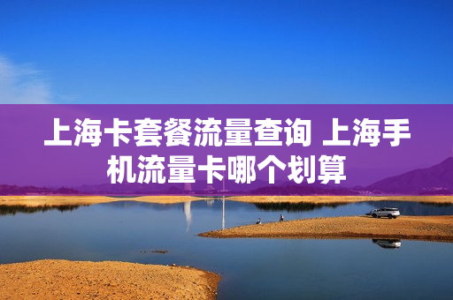 上海卡套餐流量查询 上海手机流量卡哪个划算