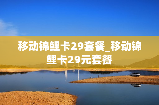 移动锦鲤卡29套餐_移动锦鲤卡29元套餐