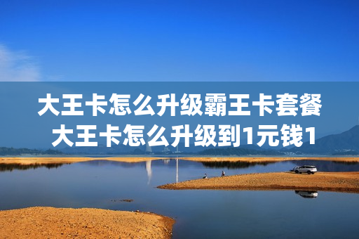大王卡怎么升级霸王卡套餐 大王卡怎么升级到1元钱1g