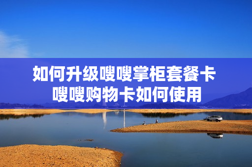 如何升级嗖嗖掌柜套餐卡 嗖嗖购物卡如何使用
