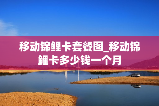 移动锦鲤卡套餐图_移动锦鲤卡多少钱一个月