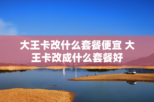 大王卡改什么套餐便宜 大王卡改成什么套餐好