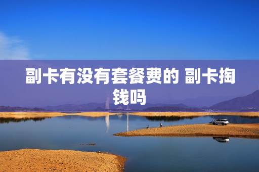 副卡有没有套餐费的 副卡掏钱吗