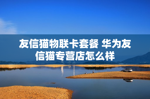 友信猫物联卡套餐 华为友信猫专营店怎么样