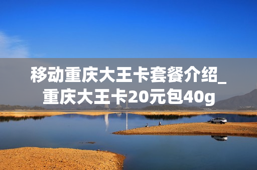 移动重庆大王卡套餐介绍_重庆大王卡20元包40g