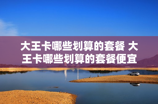 大王卡哪些划算的套餐 大王卡哪些划算的套餐便宜