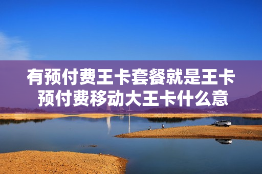 有预付费王卡套餐就是王卡 预付费移动大王卡什么意思