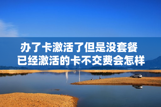 办了卡激活了但是没套餐 已经激活的卡不交费会怎样