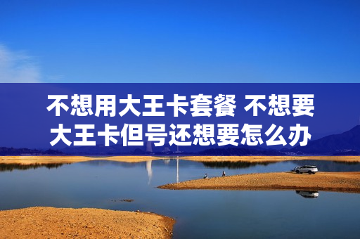 不想用大王卡套餐 不想要大王卡但号还想要怎么办