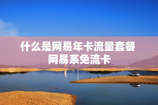 什么是网易年卡流量套餐 网易系免流卡