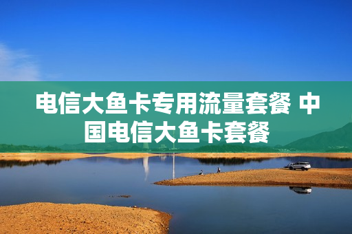 电信大鱼卡专用流量套餐 中国电信大鱼卡套餐