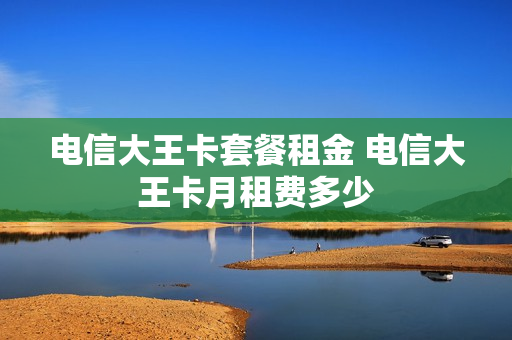 电信大王卡套餐租金 电信大王卡月租费多少