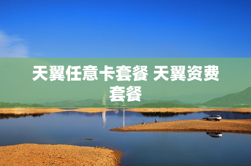 天翼任意卡套餐 天翼资费套餐