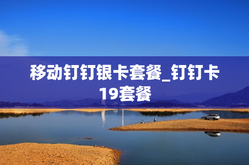 移动钉钉银卡套餐_钉钉卡19套餐