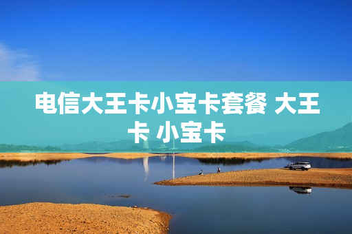 电信大王卡小宝卡套餐 大王卡 小宝卡