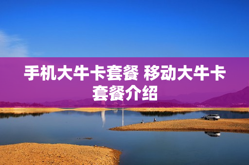 手机大牛卡套餐 移动大牛卡套餐介绍
