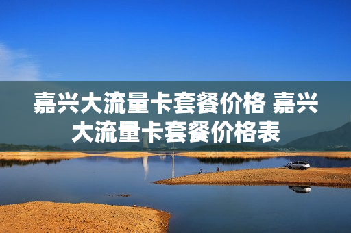嘉兴大流量卡套餐价格 嘉兴大流量卡套餐价格表