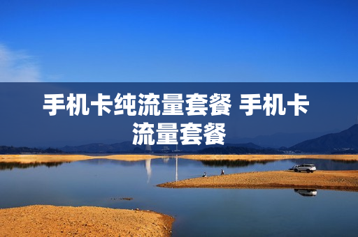 手机卡纯流量套餐 手机卡 流量套餐