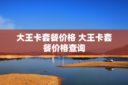 大王卡套餐价格 大王卡套餐价格查询