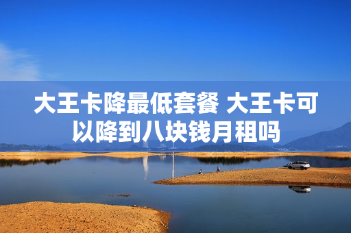 大王卡降最低套餐 大王卡可以降到八块钱月租吗