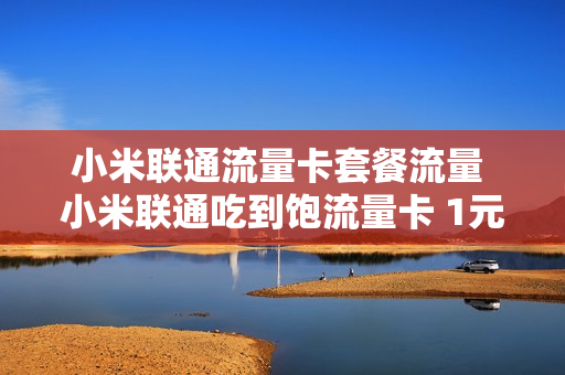 小米联通流量卡套餐流量 小米联通吃到饱流量卡 1元天任性用