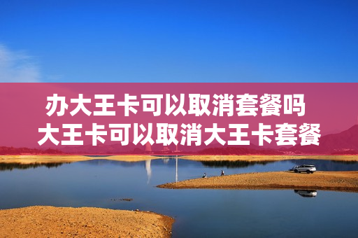 办大王卡可以取消套餐吗 大王卡可以取消大王卡套餐吗
