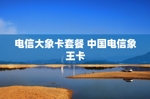 电信大象卡套餐 中国电信象王卡