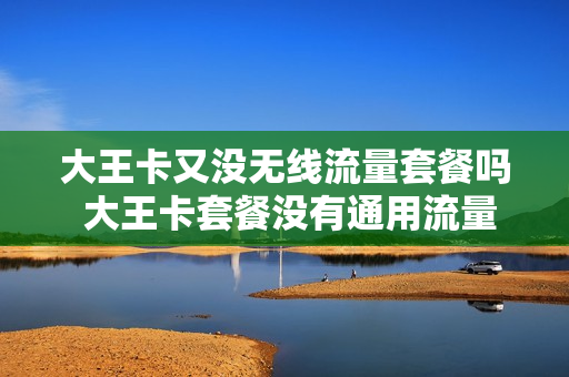 大王卡又没无线流量套餐吗 大王卡套餐没有通用流量吗
