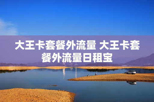 大王卡套餐外流量 大王卡套餐外流量日租宝