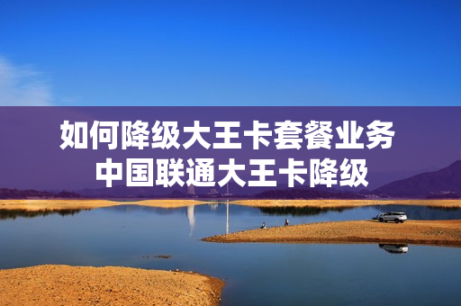 如何降级大王卡套餐业务 中国联通大王卡降级