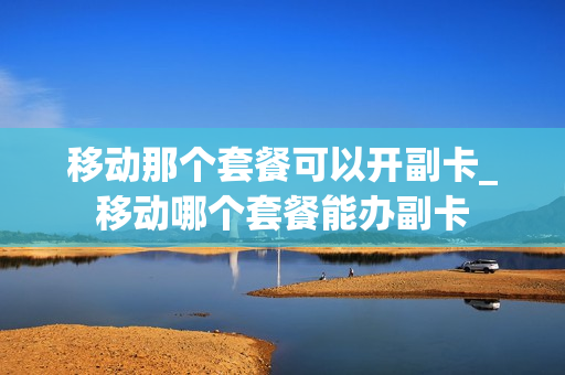 移动那个套餐可以开副卡_移动哪个套餐能办副卡