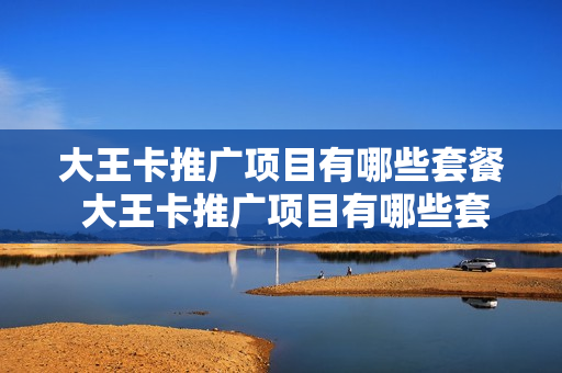大王卡推广项目有哪些套餐 大王卡推广项目有哪些套餐可以选
