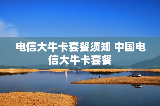 电信大牛卡套餐须知 中国电信大牛卡套餐