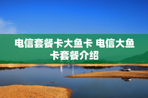 电信套餐卡大鱼卡 电信大鱼卡套餐介绍
