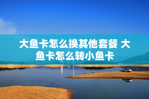 大鱼卡怎么换其他套餐 大鱼卡怎么转小鱼卡