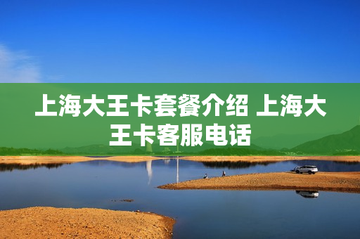 上海大王卡套餐介绍 上海大王卡客服电话