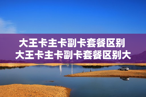 大王卡主卡副卡套餐区别 大王卡主卡副卡套餐区别大吗