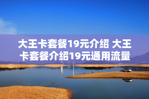 大王卡套餐19元介绍 大王卡套餐介绍19元通用流量