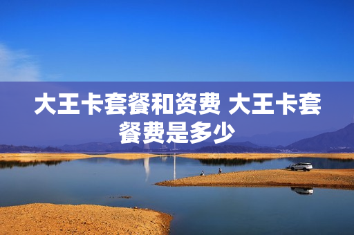 大王卡套餐和资费 大王卡套餐费是多少