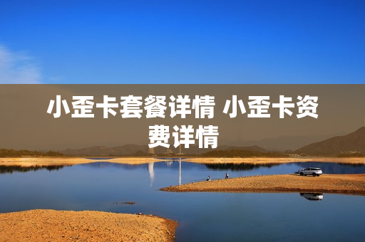 小歪卡套餐详情 小歪卡资费详情